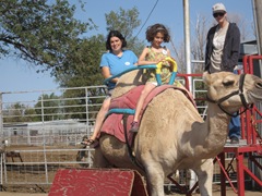 IMG_8732 IMG_8732