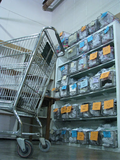 Another important donation the Clothing Bank gathers is underwear.  (Photo by: Kenrick Nobles)