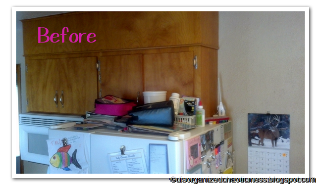 [FridgeTop%2520Before%255B9%255D.png]