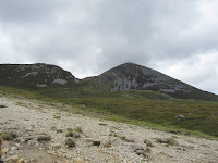 IMG_0009.JPG Photo