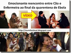 Emocionante reencontro entre Cão e Enfermeira ao final_thumb[1]
