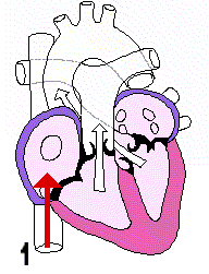 clip_image001[4]