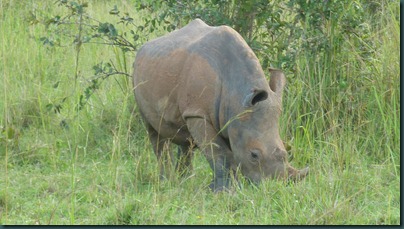 Ziwa 030 Ziwa 030