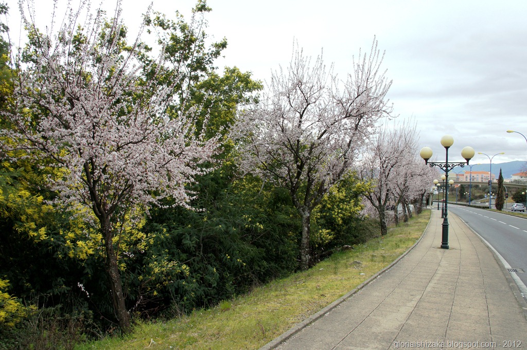 [Gloria%2520Ishizaka%2520-Covilh%25C3%25A3%2520-%2520primavera%25202012%2520-%25201%255B1%255D.jpg]