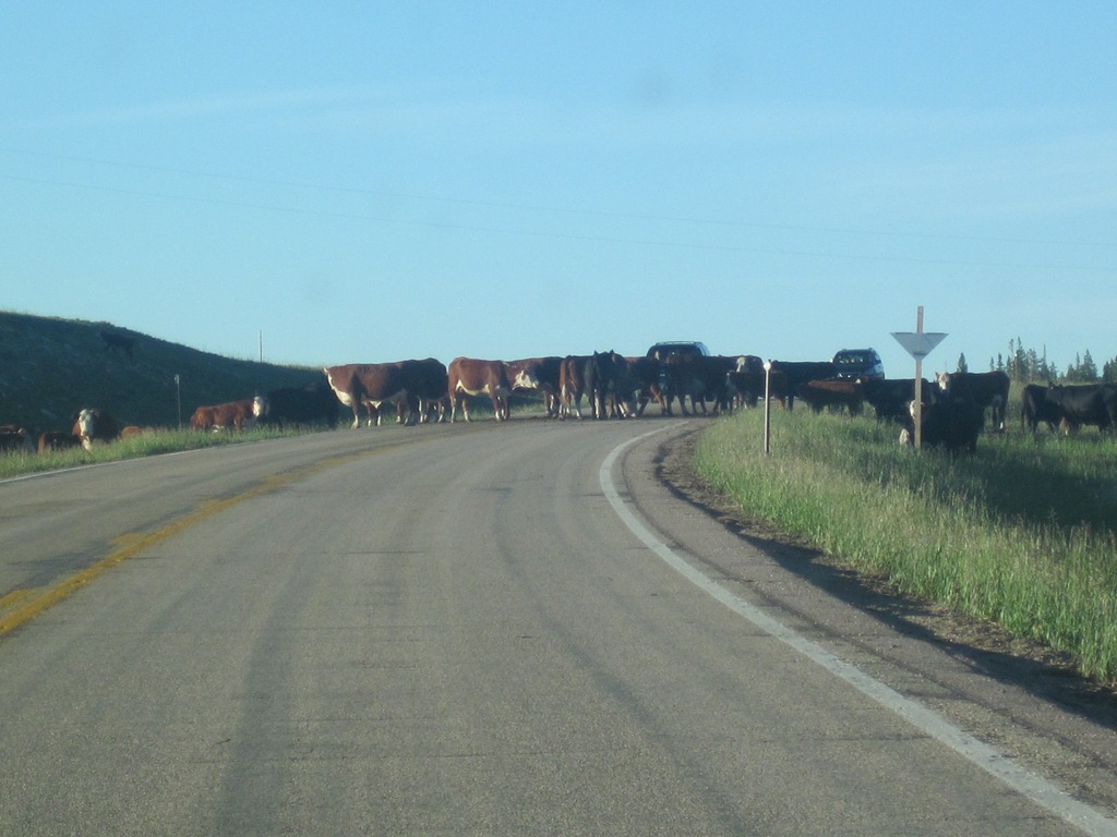 [IMG_1328%255B4%255D.jpg]