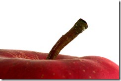 Khasiat epal organik epal