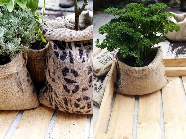 [bagplanter%255B3%255D.jpg]