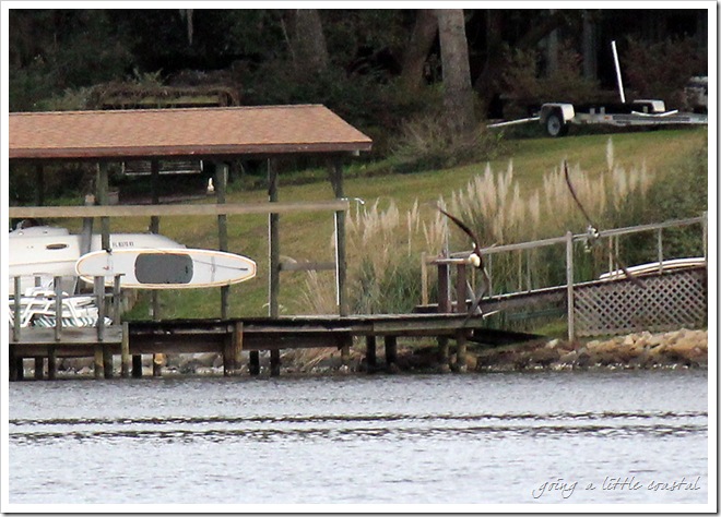 osprey eagle4_edited-1