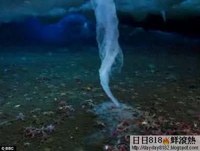 南極海底 死亡冰柱
