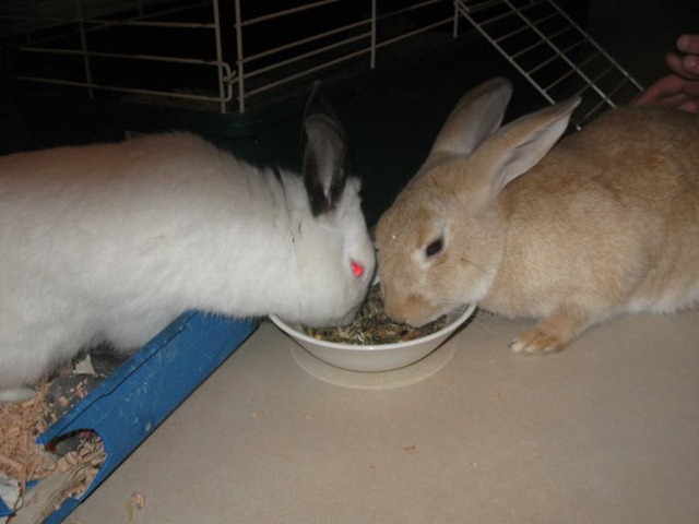 [190520_1893892824818_3103936_n14.jpg]