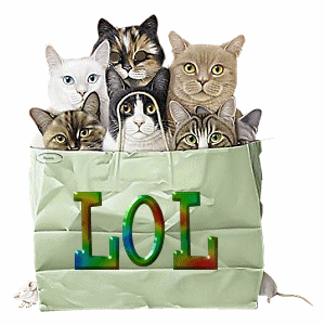 kittens in bag LOL blinkie[4]