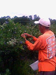 ( 0)IMG0023A.jpg