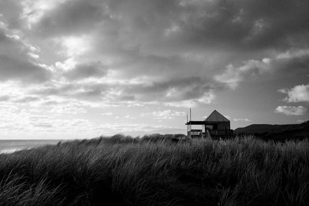 Muriwai beach Muriwai beach