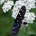 P7156662
