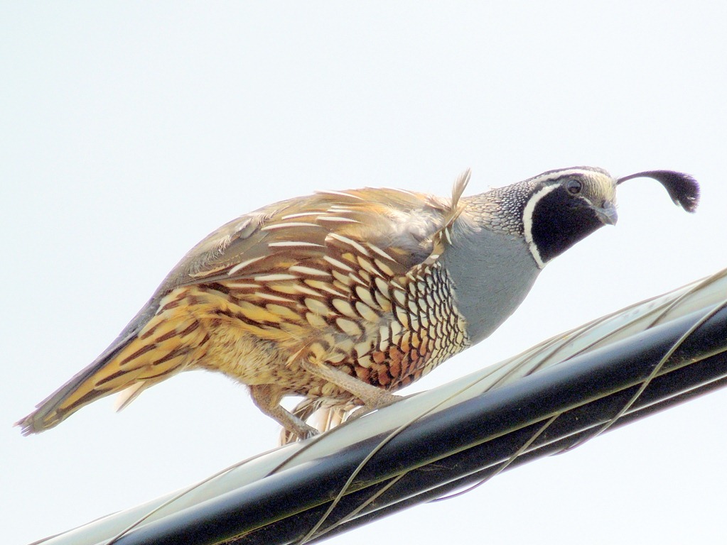 [DSCN1664%255B3%255D.jpg]