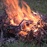 DSCN2943.JPG