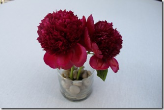 IMG_7492 IMG_7492