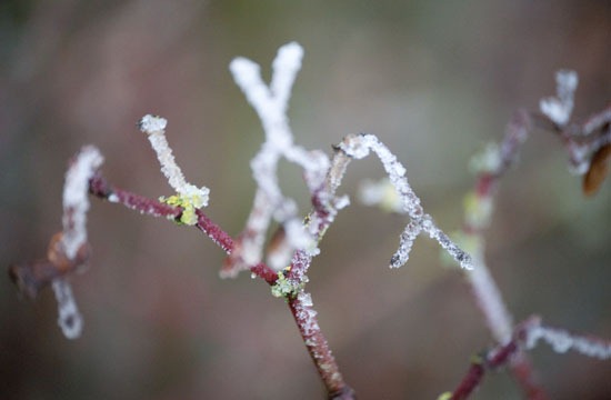 [DSC_2451%255B4%255D.jpg]