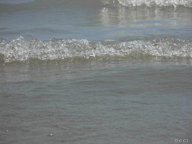 [DSCN0333%255B3%255D.jpg]