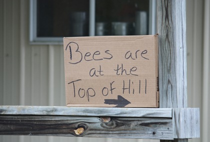bee sign