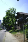 PIC_0021.JPG