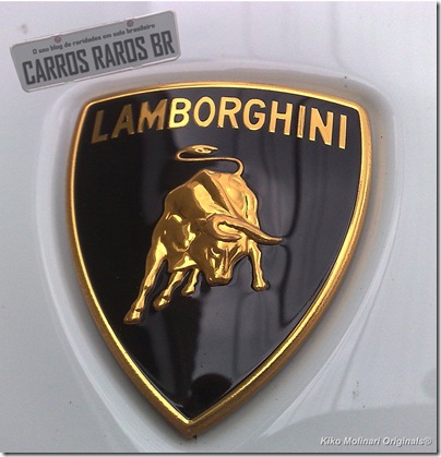 Lamborghini Gallardo LP 560-4 (12)[12]
