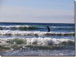 cannon beach 15