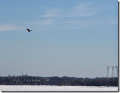 Susquehanna River, York Haven PA, by Sue Reno, image 5