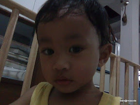 พู่กันเริ่มหายป่วยแต่ยังคึกเป็นม้า