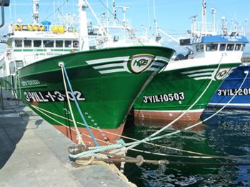 Docked Spanish fishing vessels, October 2011. independent.co.uk