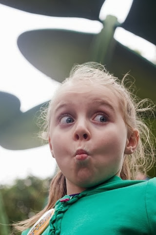 Sophie bug land