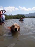 [FDS%2520Ecaologico%25206%2520%2528228%2529%255B4%255D.jpg]
