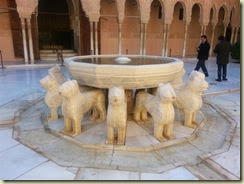20131127_12 Lions (Small)