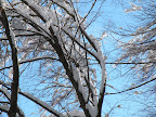 DSCN3417.JPG