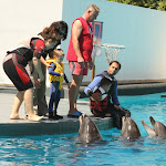 Cei trei delfini așteptau liniștiți venirea copiilor