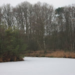 IMG_4964.JPG
