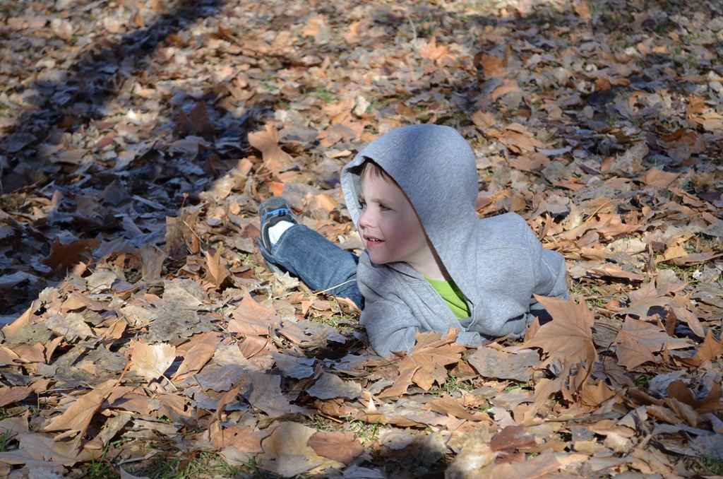 [DSC_0351%255B4%255D.jpg]