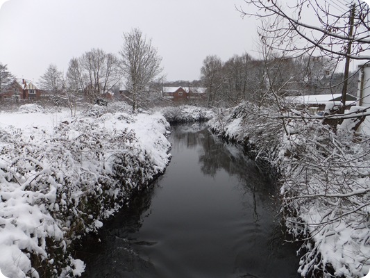 December photos 127