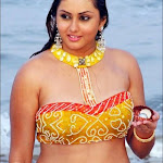 Namitha Hot (4).jpg