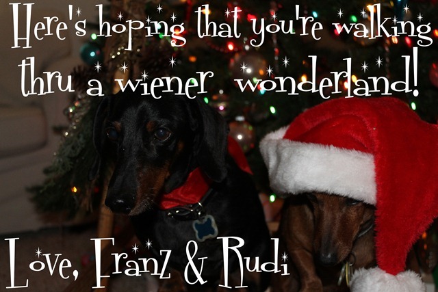 rudi and franz 016-001