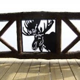 Welcome to big Moose