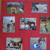 corcho fotos.JPG