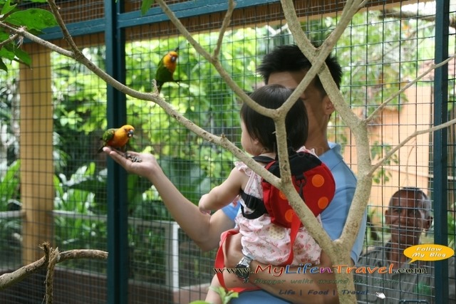 Langkawi Wildlife Park Langkawi Wildlife Park