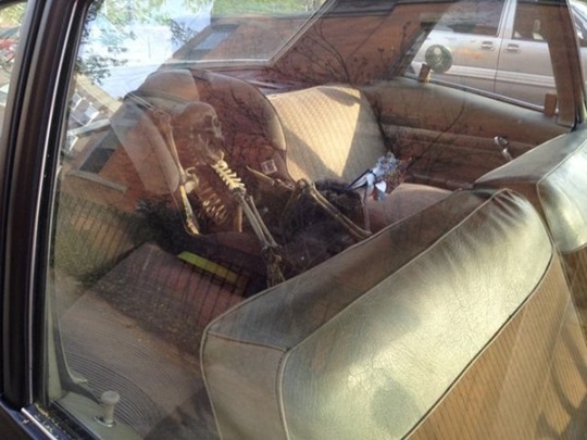 [viral-picdump-06c59e%255B2%255D.jpg]