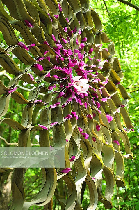 [dried-bamboo-leaves-solomon-bloemen5.jpg]