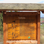 singold-bote_waldlehrpfad-schwabegg_024.jpg