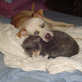 Sam and Grace loves each other!