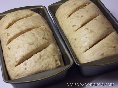 [sprouted-emmer-bread%2520034%255B1%255D.jpg]