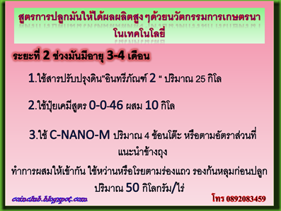 สูตรการปลูกมันโทร 0892083459