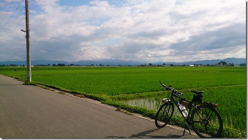 DSC_0343 DSC_0343